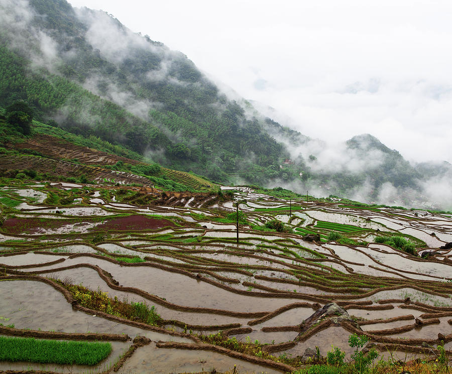 Chinese Terraces Photograph by Fzant