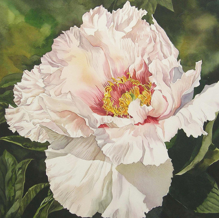 Chinese tree peony Painting by Alfred Ng