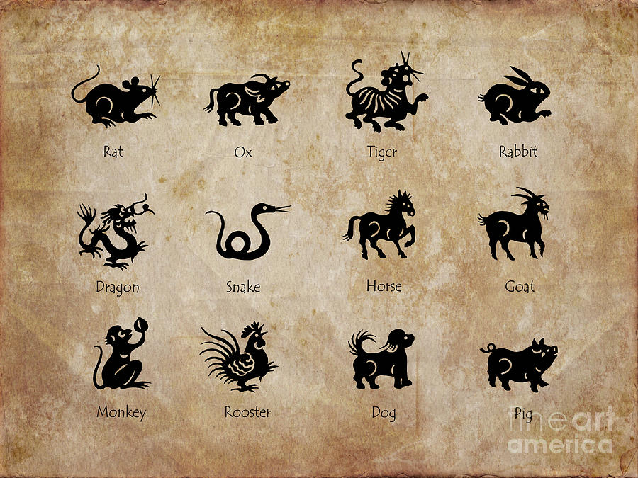 Animals of the Chinese zodiac Digital Art by Delphimages Photo Creations