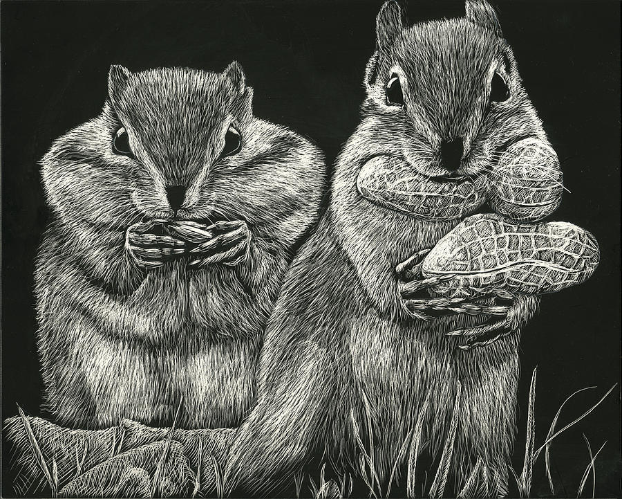 Chip n Dale Drawing by William Underwood