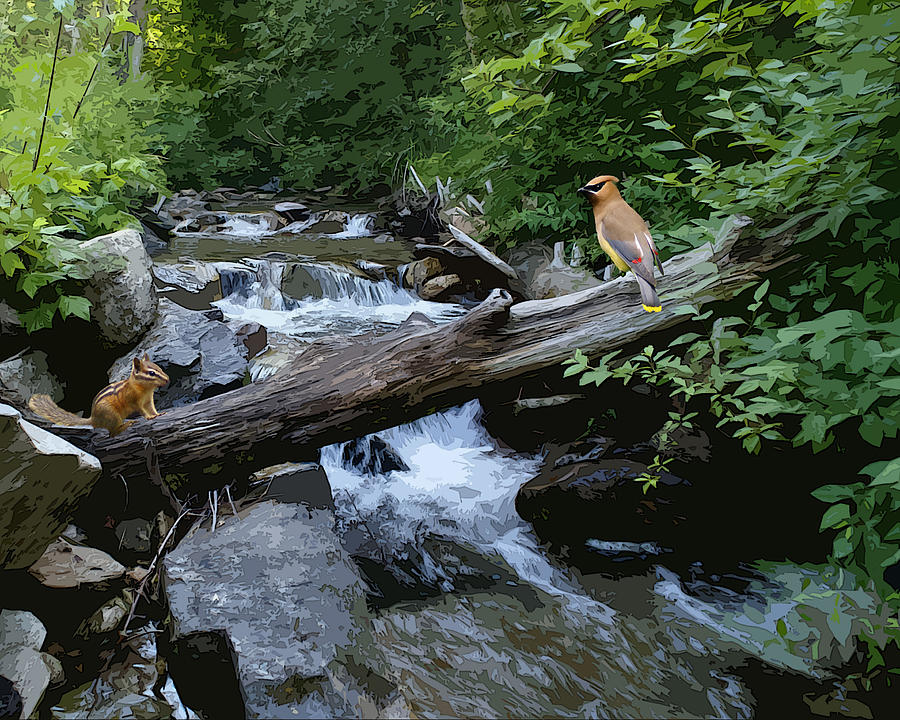 Chipmunk and Cedar Waxwing Sharing a Log over a Creek on Mt Spokane Photograph by Ben Upham III