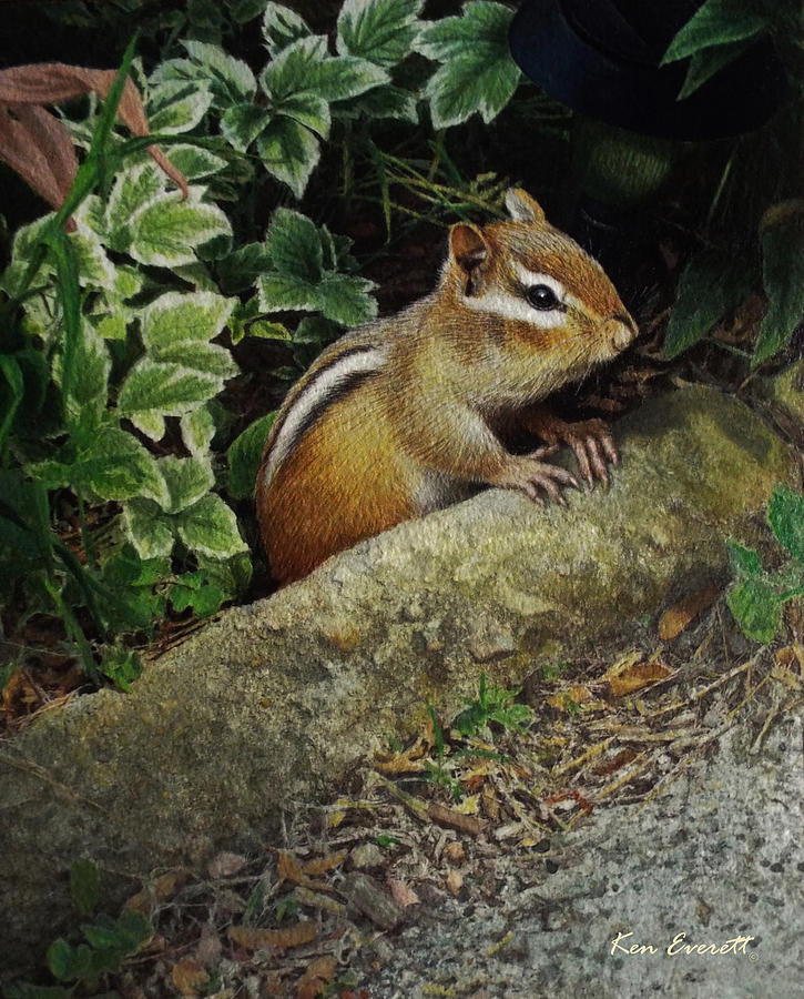 Chipmunk Painting by Ken Everett