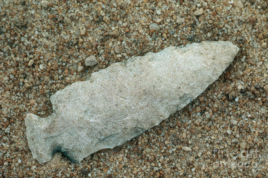 Prehistoric Photograph - Chipped Projectile Point by William H. Mullins