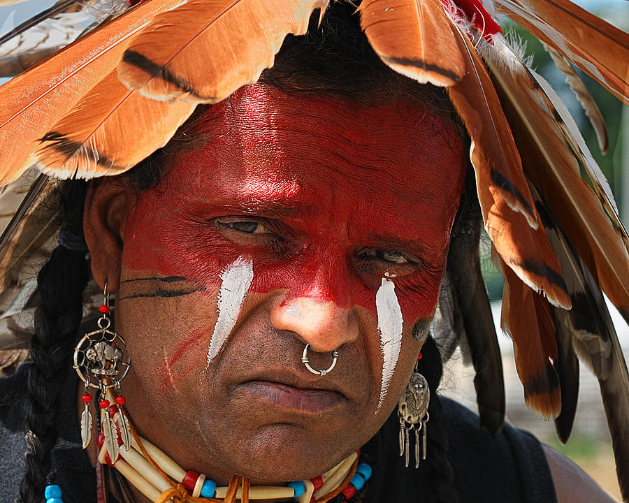 Chippewa Grass Dancer by Dick Wood