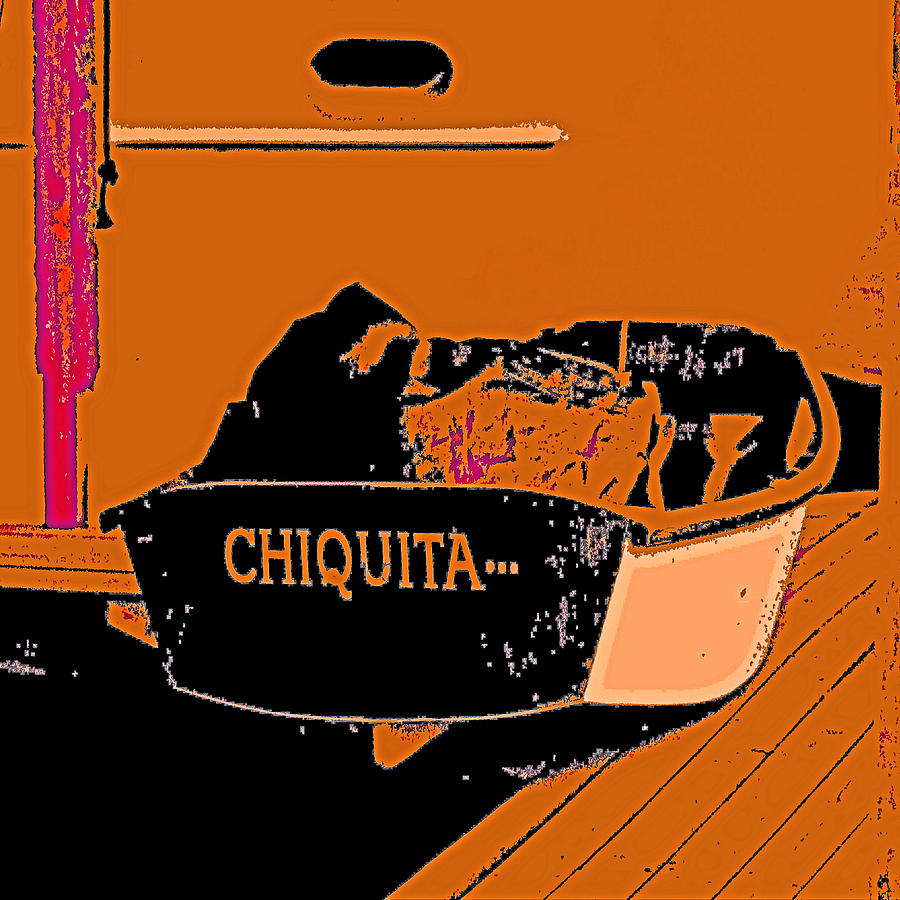 Chiquita - a Sailors Friend Photograph by Joseph Coulombe