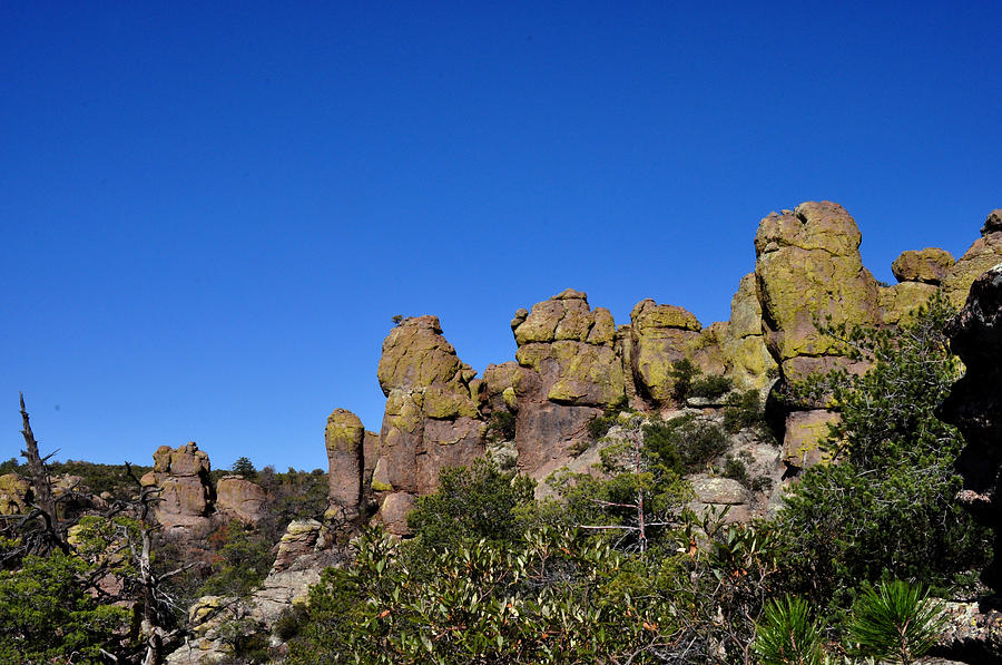 Chiracahua Mountains Photograph by Diane Lent