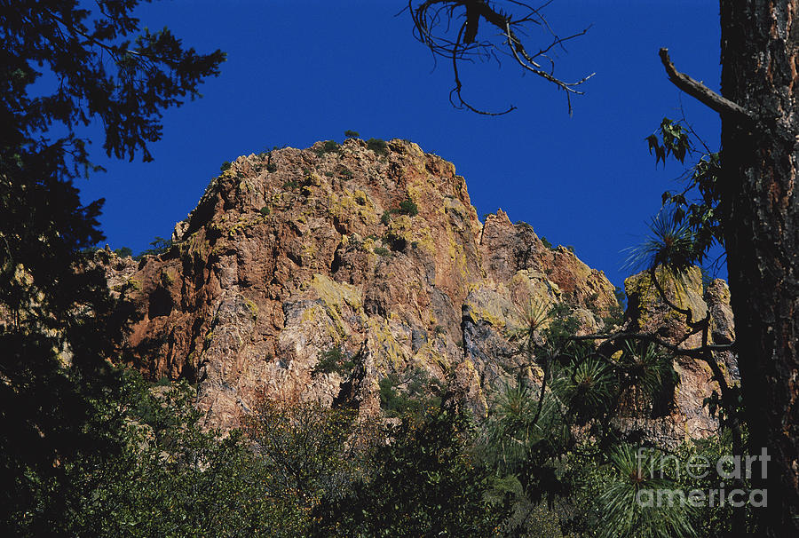 Chiricahua Mountains, Arizona Photograph by Gregory G. Dimijian, M.D.