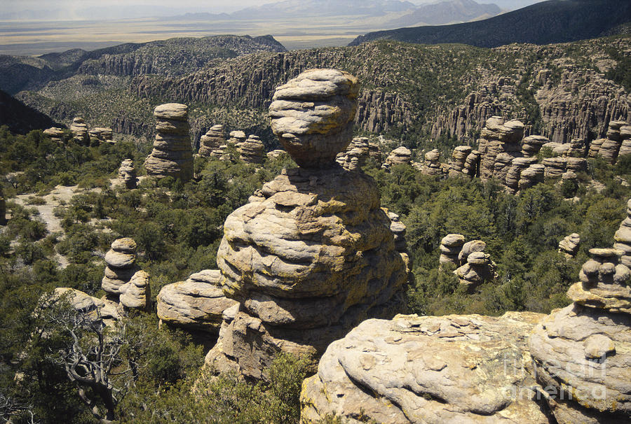 Chiricahua National Monument Photograph by Mark Newman