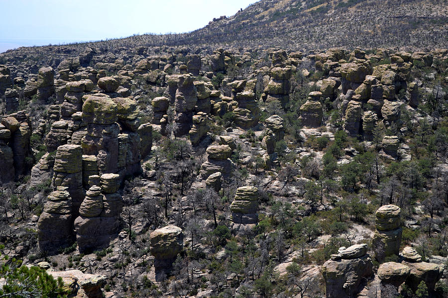 Chiricahua National Park - The Grotto Photograph by George Bostian