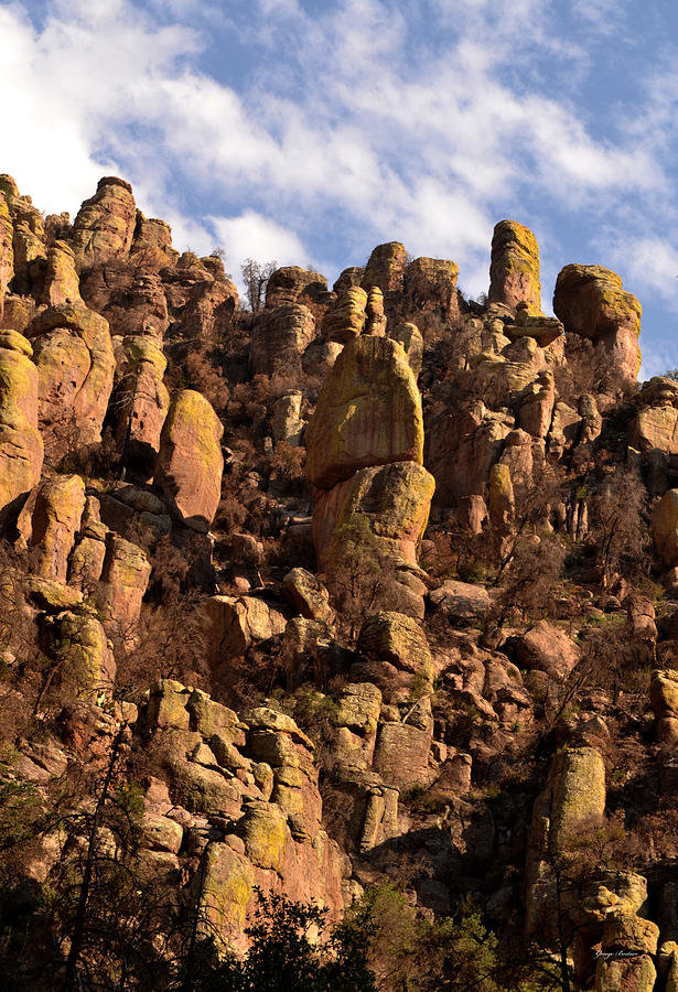 Chiricahua National Park - Wonderland of Rocks 003 Photograph by George Bostian