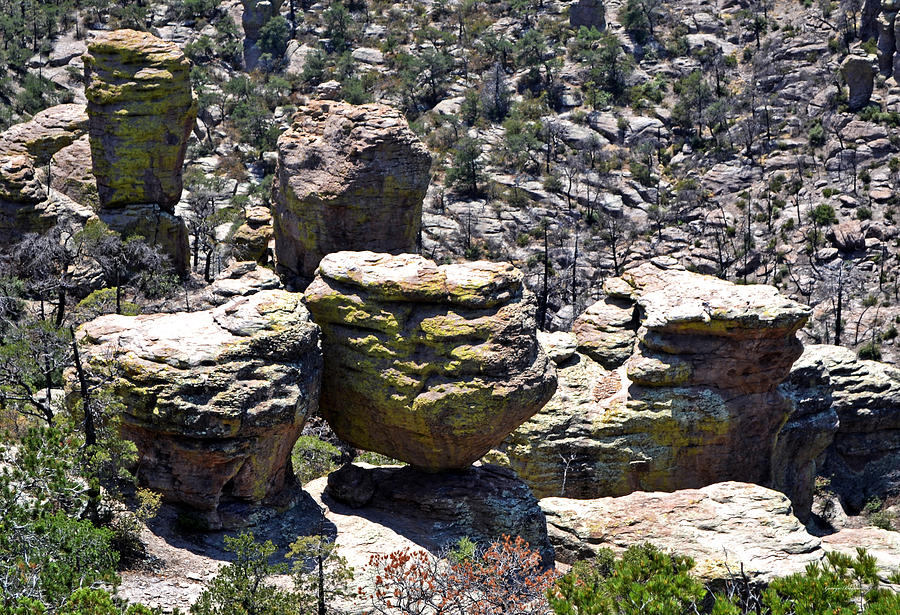 Chiricahua National Park - Wonderland of Rocks 006 Photograph by George Bostian
