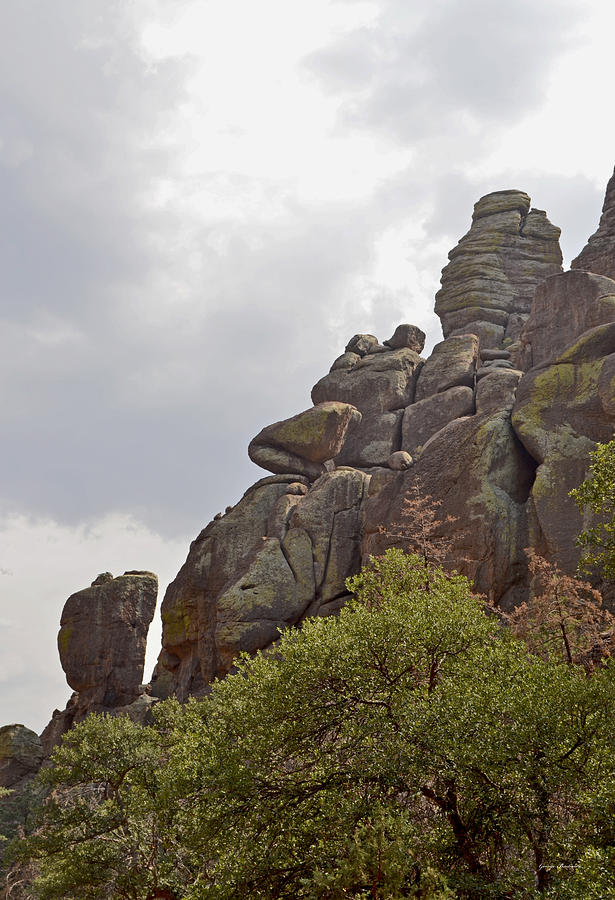 Chiricahua National Park - Wonderland Of Rocks 008 Photograph by George Bostian