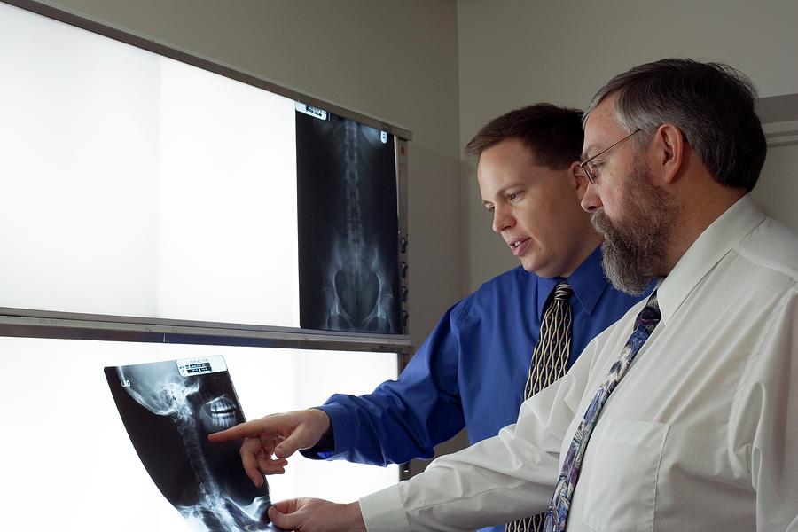 Chiropractors Examining Spinal X-rays Photograph by Jim West - Fine Art ...