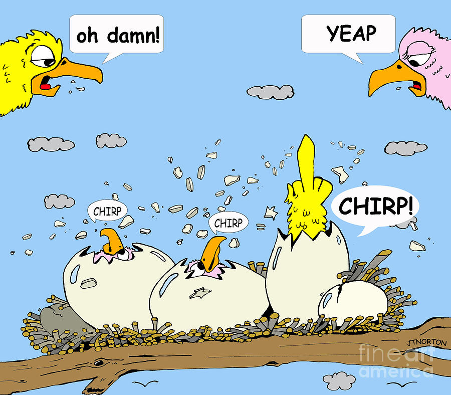 Chirp Drawing by Jack Norton