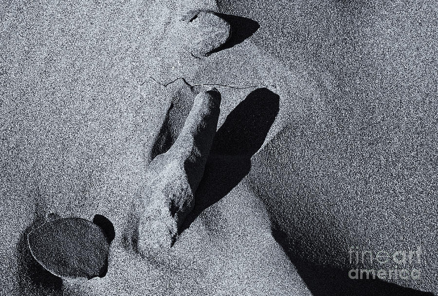 Sand Photograph - Chiseled by the Wind by Michael Dawson