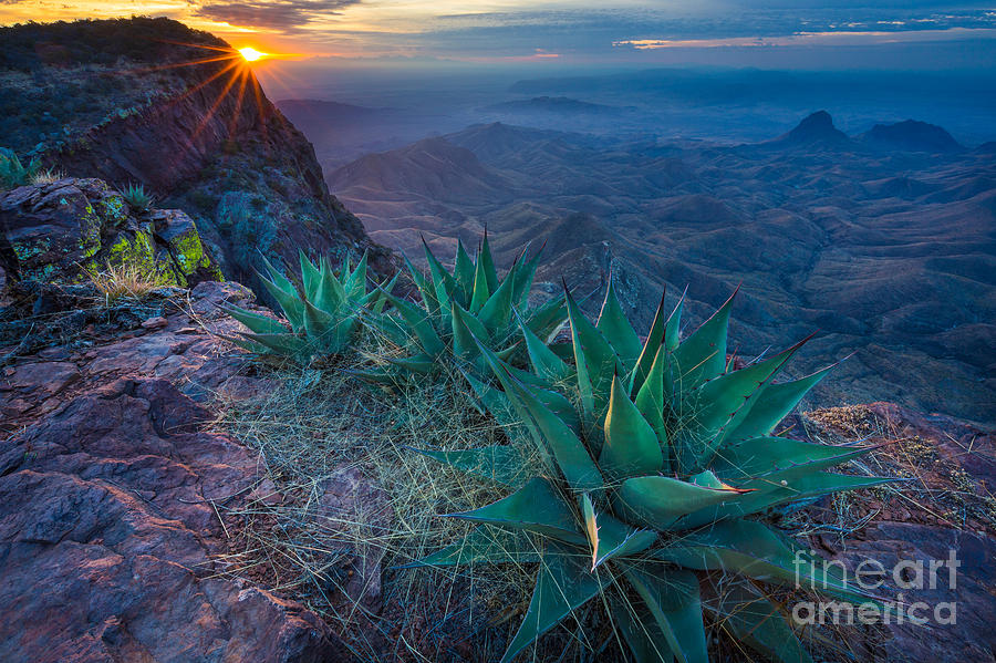 Nature Photograph - Chisos Dawn by Inge Johnsson