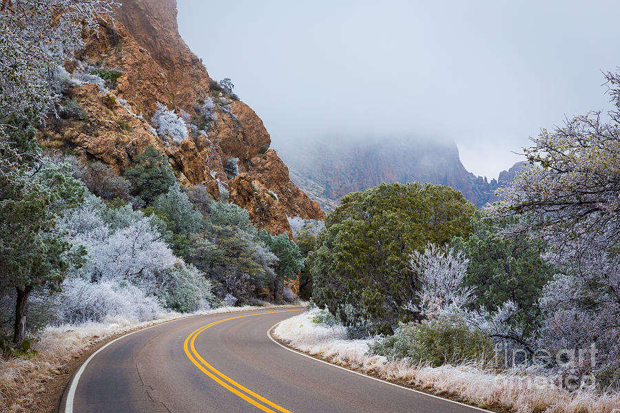Chisos Winter Road Photograph by Inge Johnsson