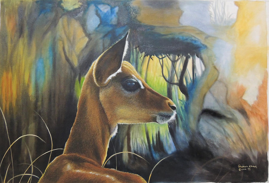 Chital Oil on Canvas  Painting by Hukam Chand Wildlife artist