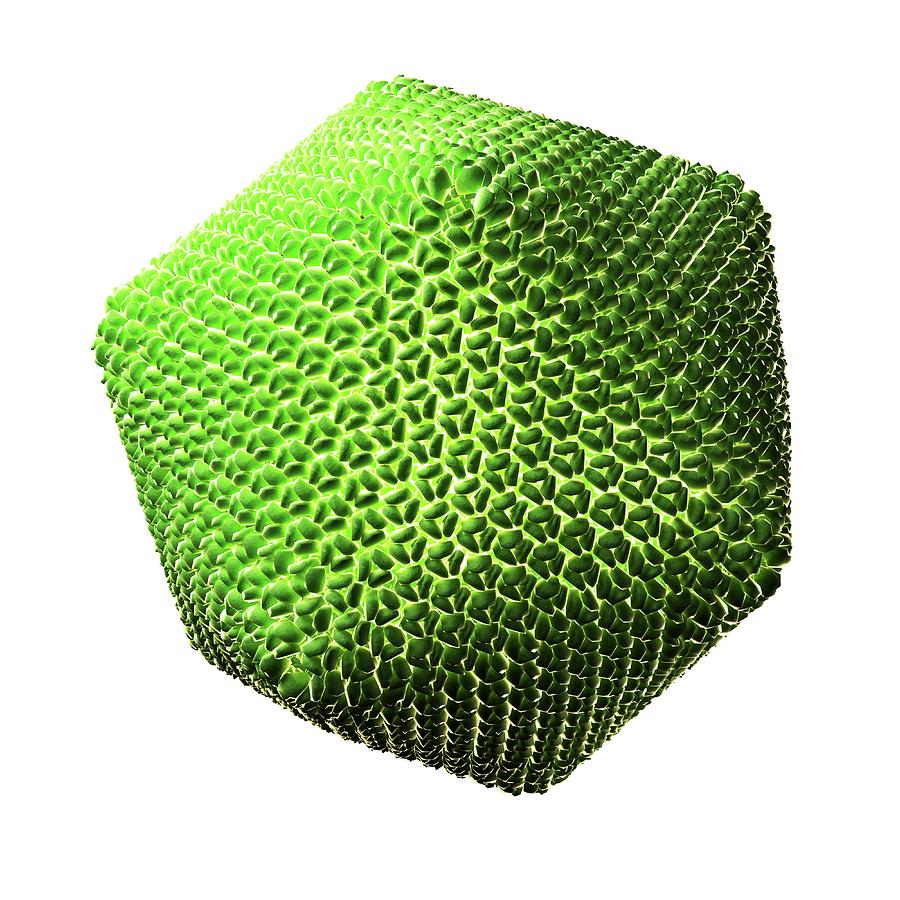 Chlorella Virus Particle by Sciepro/science Photo Library