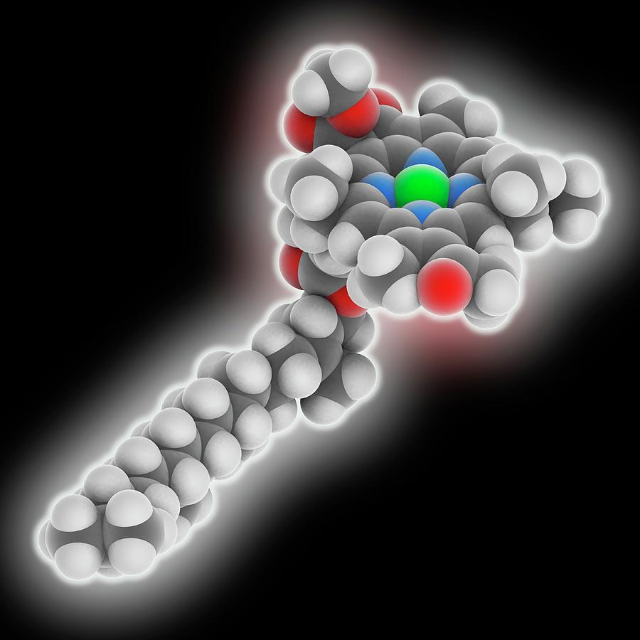 Chlorophyll B Molecule Photograph by Laguna Design
