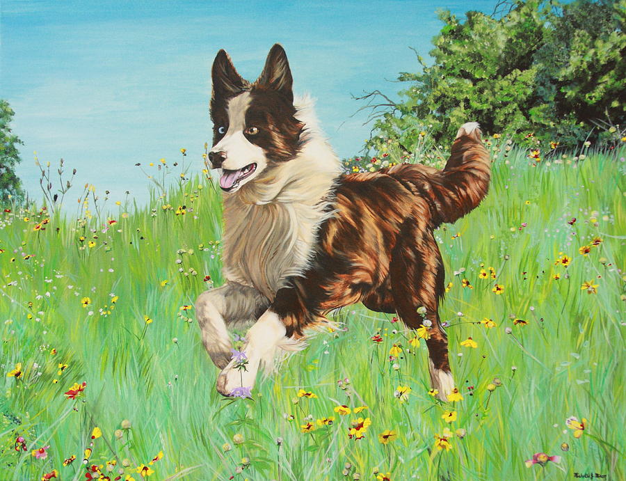 Chocolate Border Collie in Meadow Painting by Michelle Miron-Rebbe