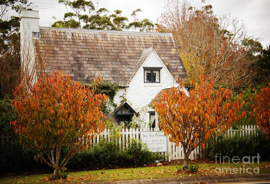 Chocolate Box Cottage Photograph by Therese Alcorn