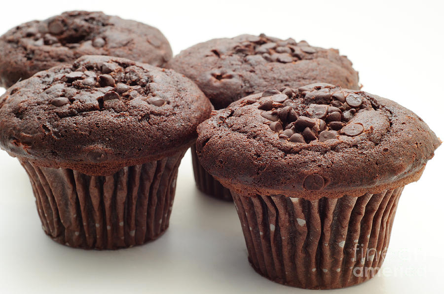 Chocolate Chocolate Chip Muffins - Bakery - Breakfast Photograph by Andee Design