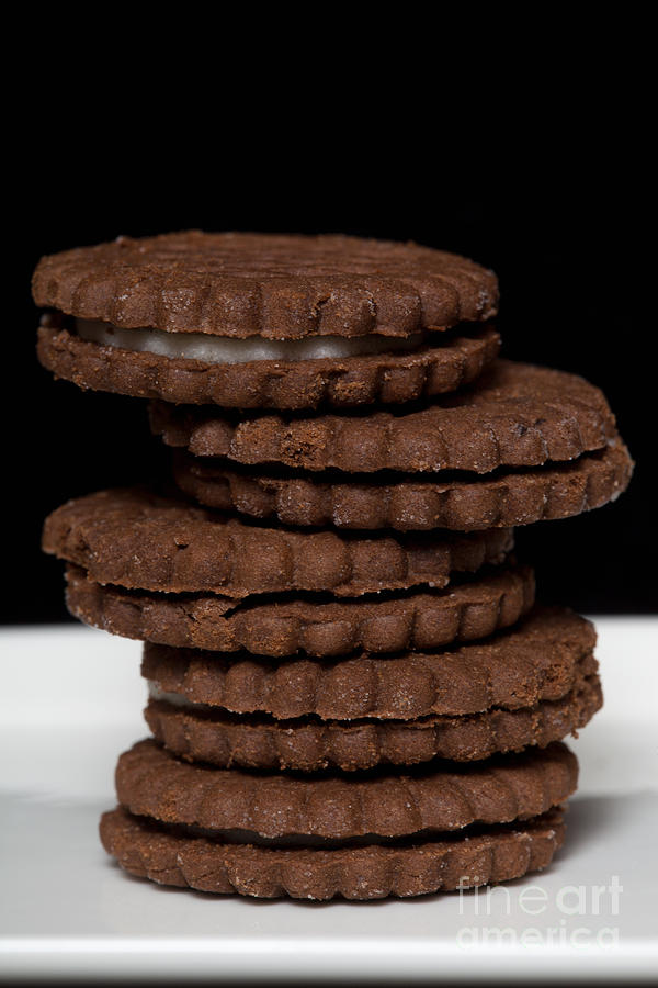 Chocolate Cookies Photograph by Diane Macdonald