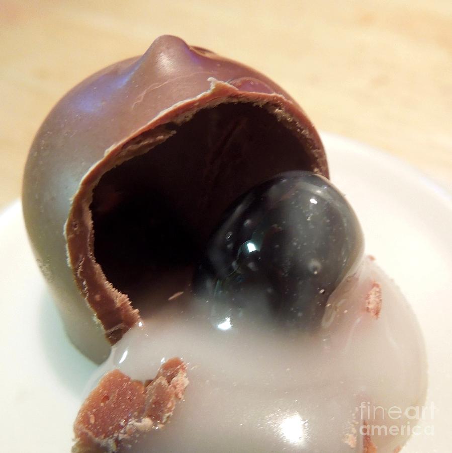 Chocolate Covered Blueberry Photograph by Renee Trenholm