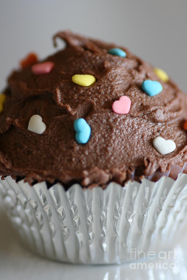 Chocolate Cupcake Photograph by Joy Watson