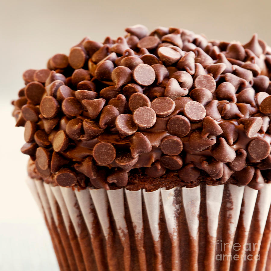 Chocolate Cupcake Photograph by Kim Fearheiley