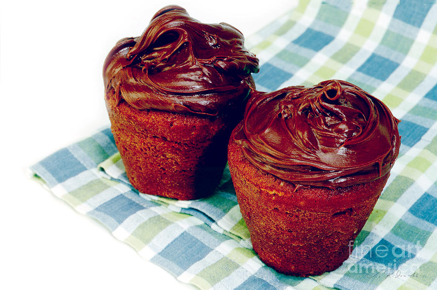 Chocolate Cupcakes for Two Photograph by Iris Richardson
