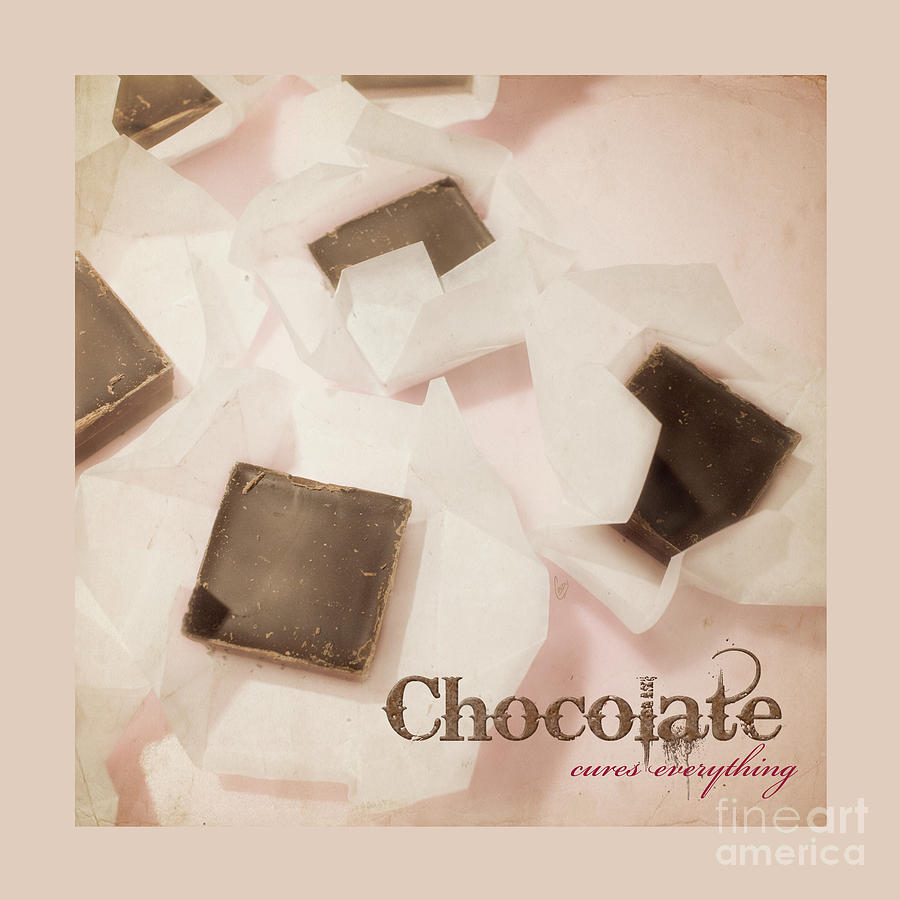 Chocolate cures everything Photograph by Cindy Garber Iverson