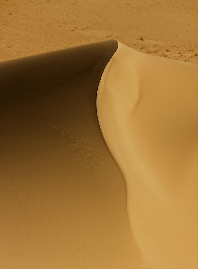 Chocolate Dune Photograph by Michael Cinnamond