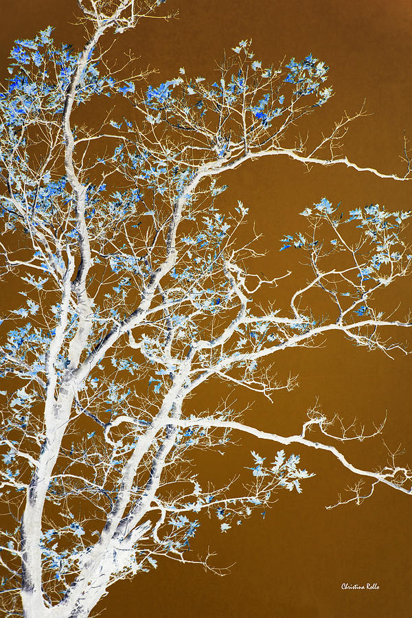Forest Tree Art Mixed Media by Christina Rollo