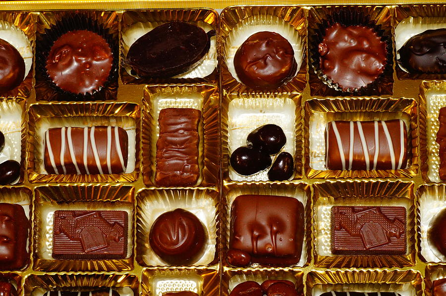 Chocolate Lovers #1 Photograph by Mike Murdock