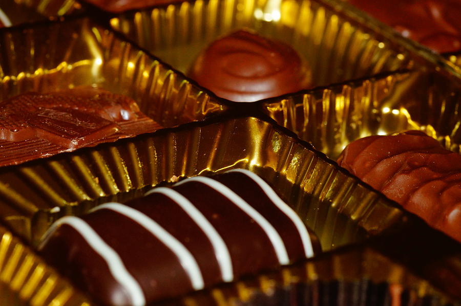 Chocolate  Photograph by Mike Murdock