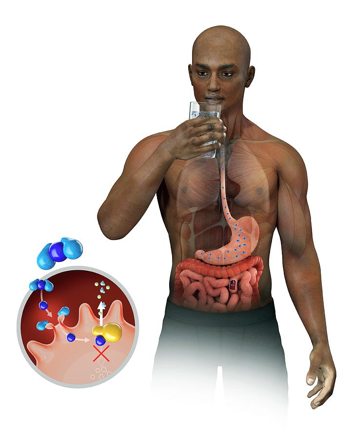 รายการ 96+ ภาพ อหิวาตกโรค cholera ครบถ้วน