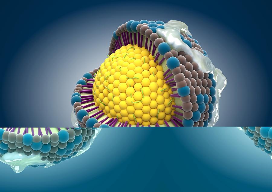 Acids Photograph - Cholesterol lipoprotein, artwork by Science Photo Library