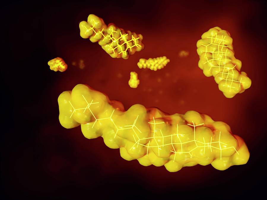 Cholesterol Molecular Models, Artwork Photograph by Juan Gaertner