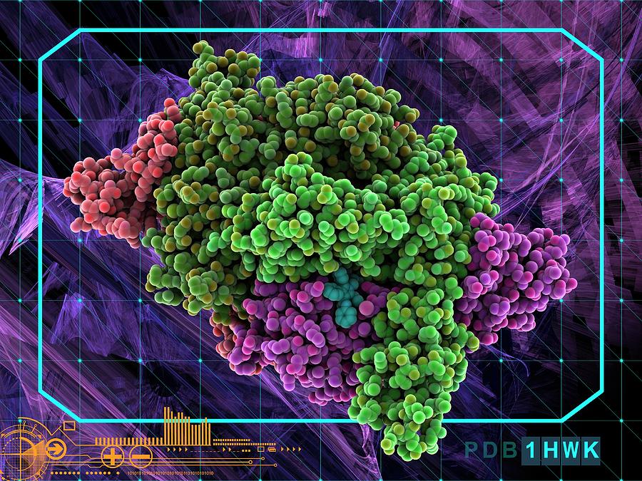 Cholesterol Producing Enzyme And Statin Photograph by Laguna Design
