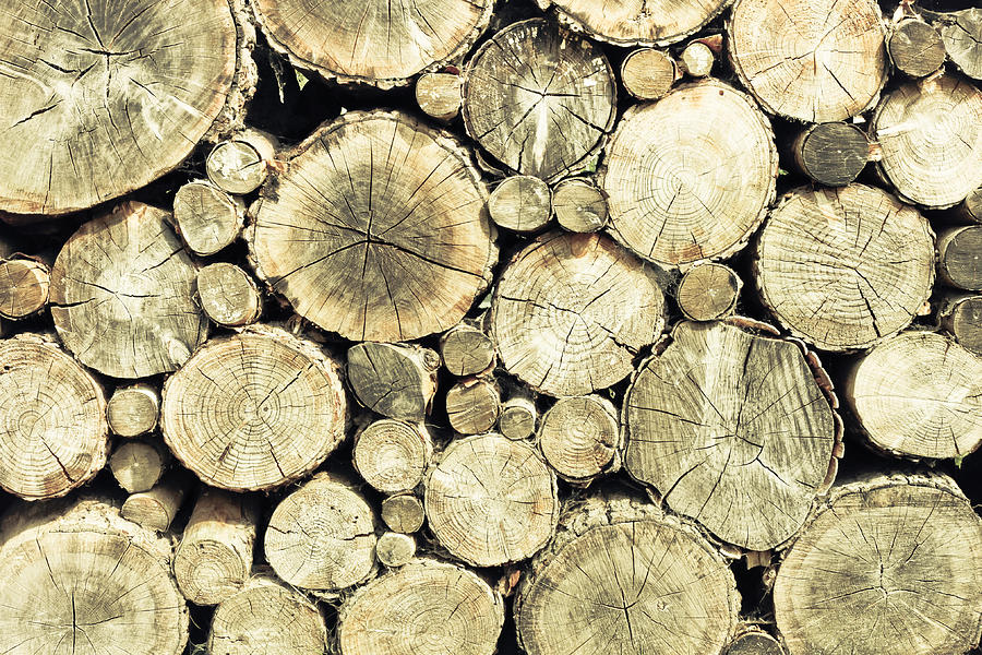 Nature Photograph - Chopped wood by Tom Gowanlock