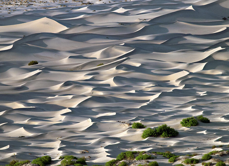 Choppy Seas on the Dunes Photograph by Joe Schofield