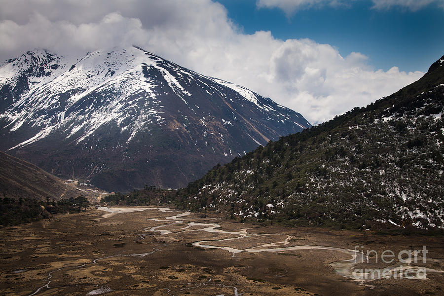 Bend Photograph - Chopta valley by Natapong Paopijit
