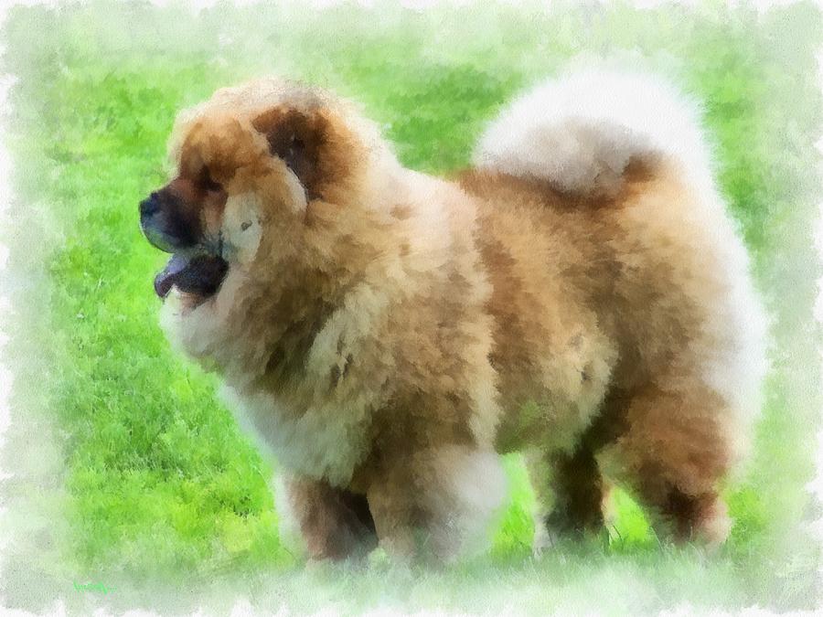 Chow Chow Painting by Maciek Froncisz