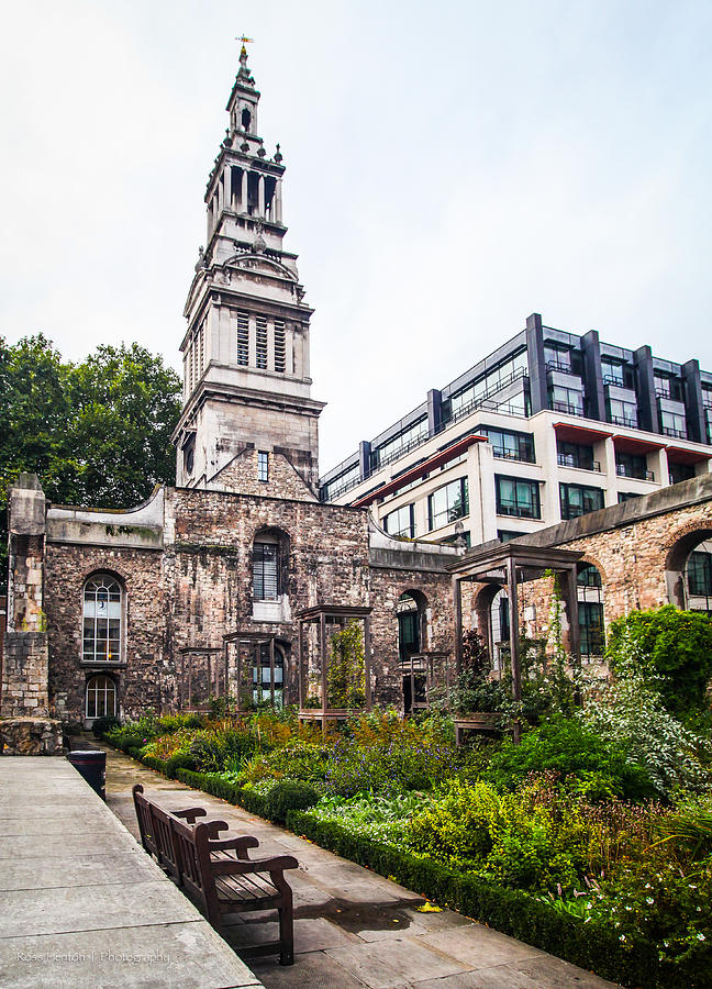 London Photograph - Christ Church Greyfriars Garden by Ross Henton