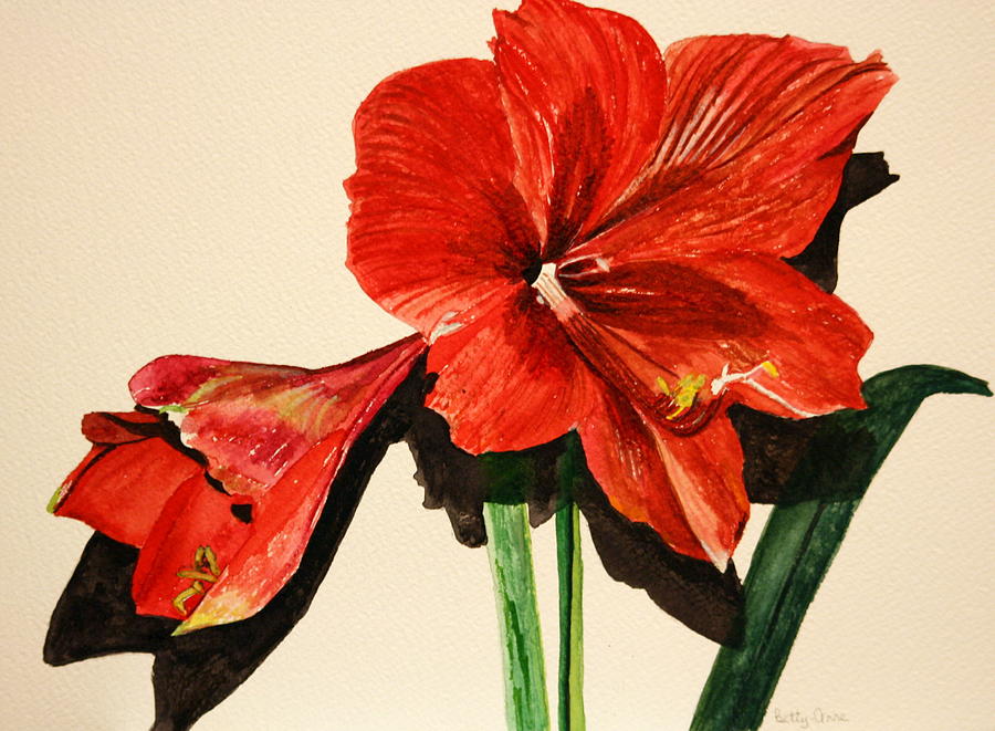 Christmas Amaryllis Painting by Betty-Anne McDonald