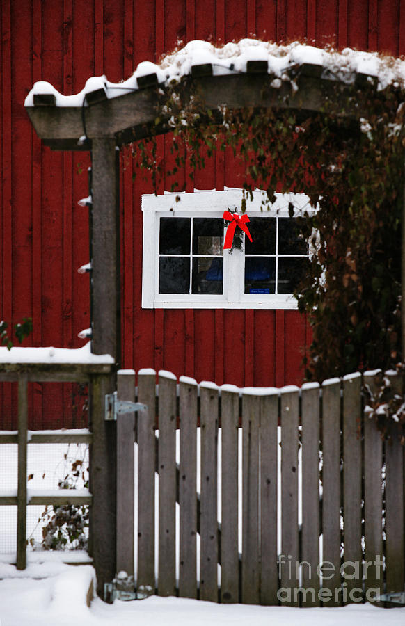 Christmas Arbor Photograph by Linda Shafer