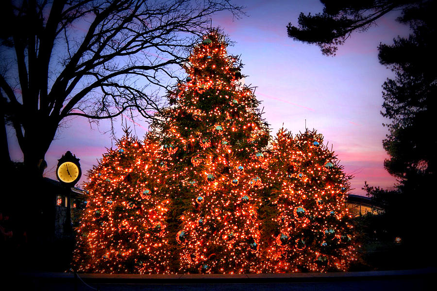 Christmas at The New York Botanical Garden Photograph by Aurelio Zucco