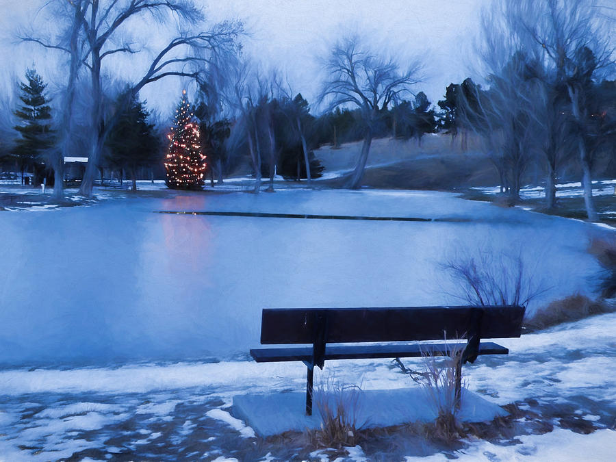 Christmas at the Pond Photograph by HW Kateley